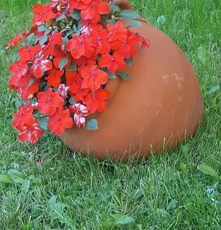 северина 3*